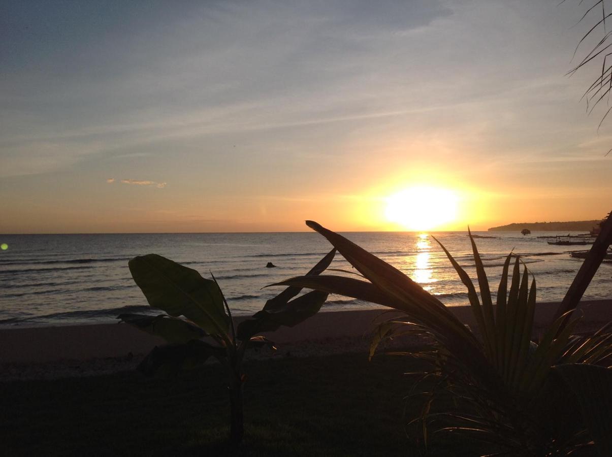 Bamboobeachvilla1 Ac New Oceanfront Pool Sunsetview Garden Kitchen Satellite Starlink Wi-Fi Dimiao Exterior photo