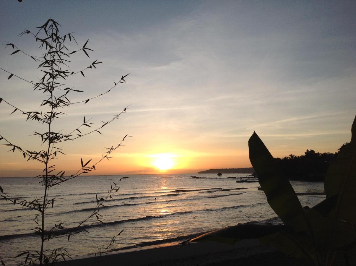 Bamboobeachvilla1 Ac New Oceanfront Pool Sunsetview Garden Kitchen Satellite Starlink Wi-Fi Dimiao Exterior photo